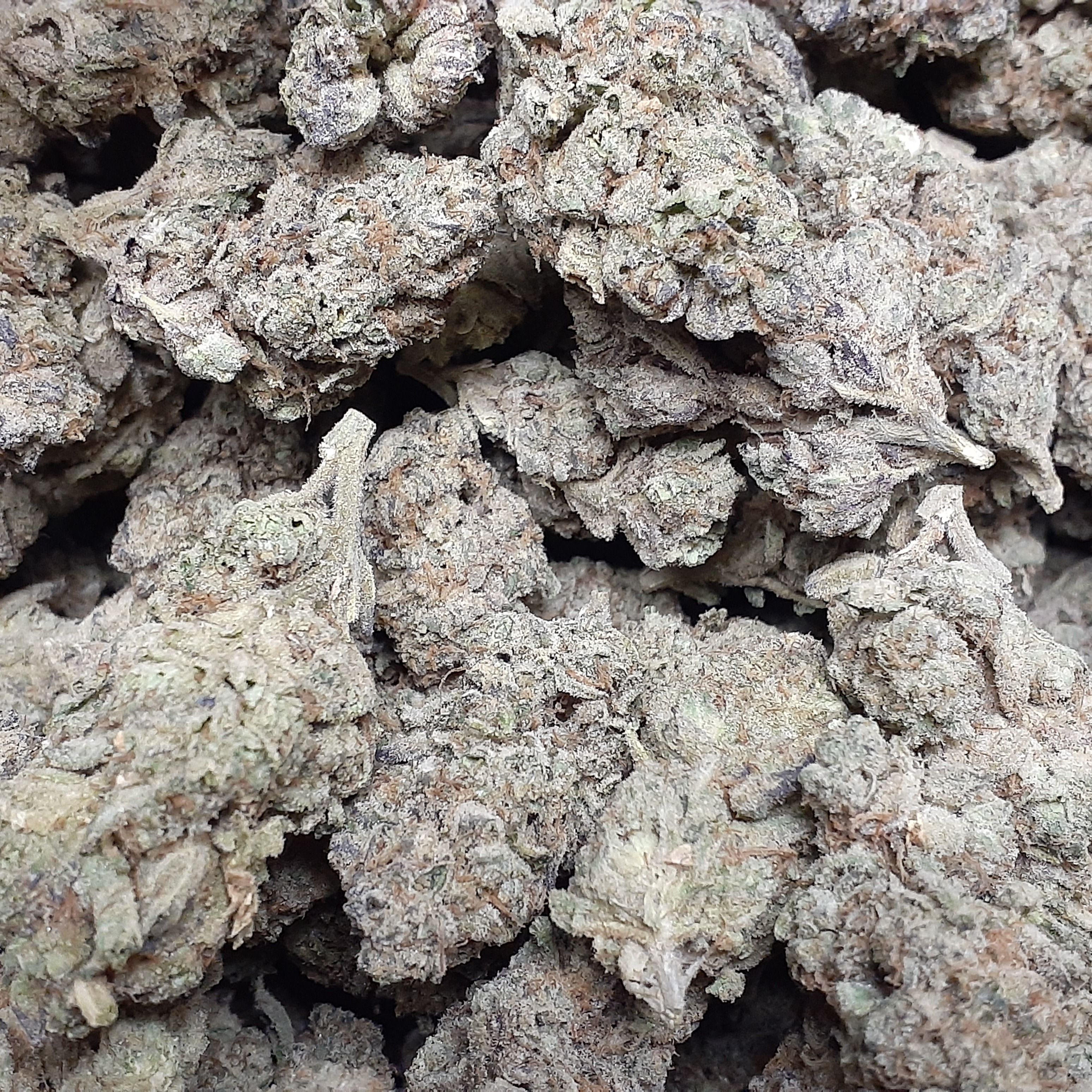 Georgia Pie 7g 33%